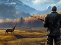 Игра Столкновение дикой охоты онлайн