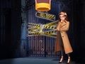 Игра Детектив Пин онлайн