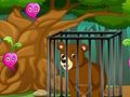 Игра Дикая природа в клетке онлайн