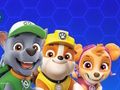 Игра Щенячий патруль онлайн