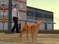 Игра Симулятор городского кота онлайн