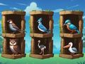 Игра Знакомьтесь с птицами онлайн
