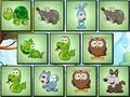 Игра Найти уникальное животное онлайн