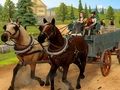 Игра Симулятор верховой езды онлайн