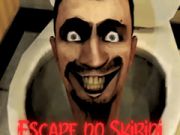 Игра Скибиди туалет. Побег онлайн