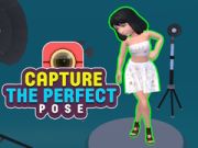 Игра Запечатлейте идеальную позу онлайн