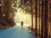 Игра Зима: Скрытые звезды онлайн