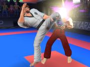 Игра Боец каратэ онлайн Игра Боец каратэ онлайн