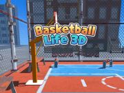 Игра Баскетбольная жизнь 3D онлайн