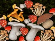 Игра Грибное объединение онлайн