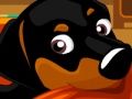 Игра Мой милый песик онлайн Игра Мой милый песик онлайн