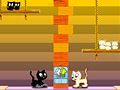 Игра Кочание котов онлайн