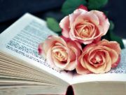 Игра Книга и цветы пазл онлайн