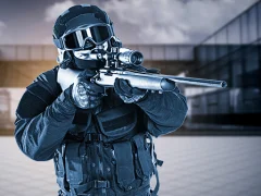 Игра Special Forces Sniper онлайн