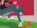 Игра Tom and Jerry: Chasing Jerry онлайн