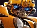 Игра Bumblebee Hidden Spots онлайн