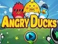 Игра Angry Ducks онлайн