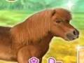 Игра My Dear Pony онлайн