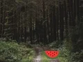 Игра Dense Forest Deer Escape онлайн
