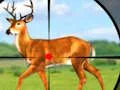 Игра Wild Hunt Hunting Games 3D онлайн