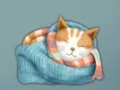 Игра Adorable Escape Find Cute Kitten онлайн