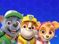 Игра Paw Patrol онлайн