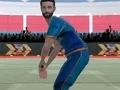 Игра Cricket Powerplay онлайн