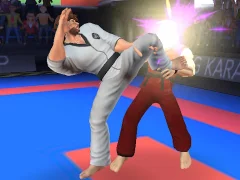 Игра Karate Fighter онлайн