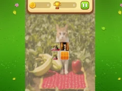 Игра Farm Cat Memory Match онлайн
