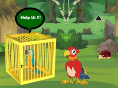 Игра Release Trapped Macaw Buddy онлайн