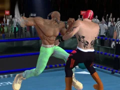 Игра Real Boxing Fighting Game онлайн