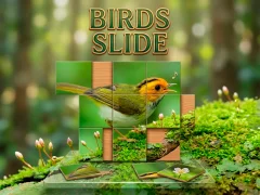 Игра Birds Slide онлайн