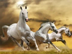 Игра Running Horse Slide онлайн