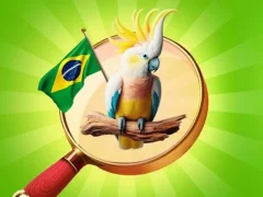 Игра Hidden Objects: Vacation in Brazil онлайн