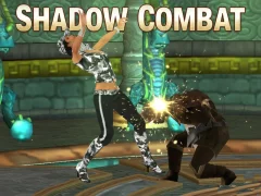 Игра Shadow Combat онлайн