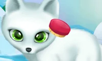 Игра Paws to Beauty Arctic Edition онлайн