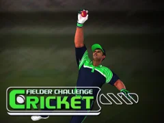 Игра Cricket Fielder Challenge онлайн