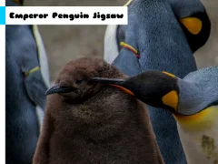 Игра Emperor Penguin Jigsaw онлайн