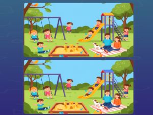 Игра Найти отличия онлайн