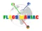 Игра Flags Maniac онлайн