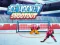 Игра Ice Hockey Shootout онлайн