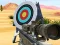 Игра Hit Targets Shooting онлайн