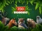 Игра ZOO Trivia онлайн