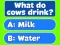 Игра Trivia! Best Family Quiz онлайн
