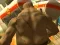 Игра Monster Simulator онлайн