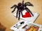 Игра Jumping Spider онлайн