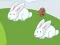Игра Crazy Eggs онлайн