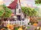 Игра Taste the Tradition онлайн