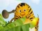 Игра Die Dschungelhelden: Kung-Frucht Training онлайн
