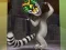 Игра King Julien: Trommel-Tanz онлайн